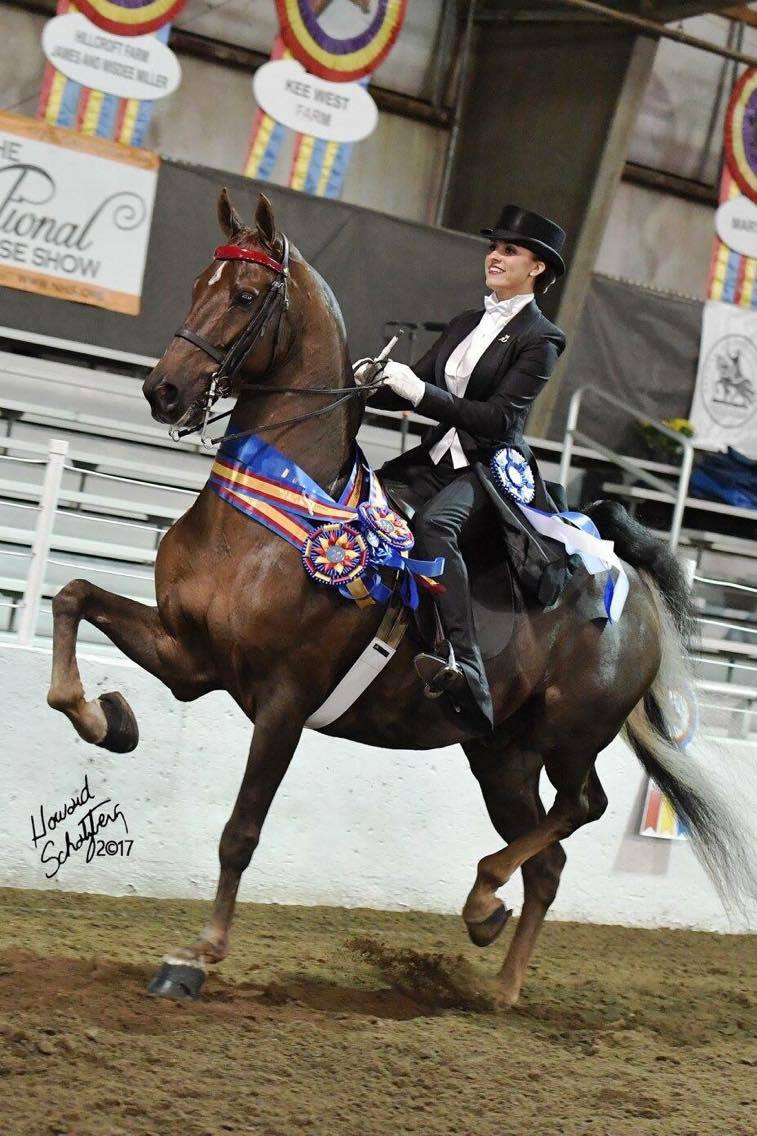 2017-Saddle-Seat-Medallion-Champion-Gabriella-Snyder